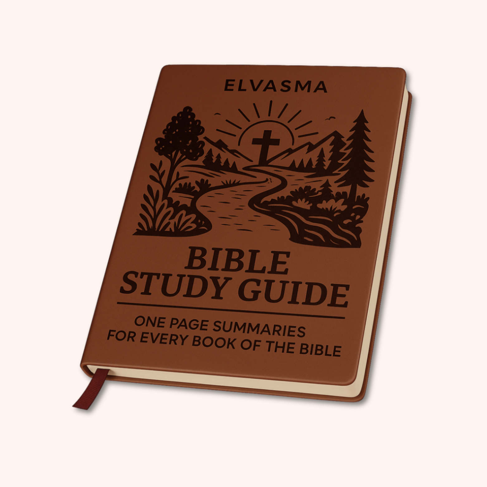 Brown Bible study guide